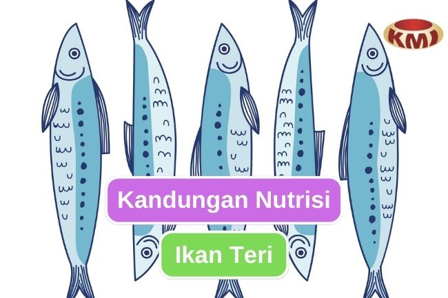 Inilah Nutrisi Yang Terkandung Pada Ikan Teri 